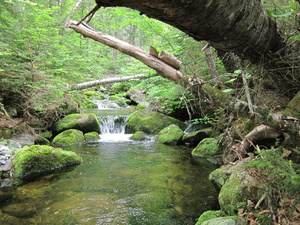 Appalachian Trail 