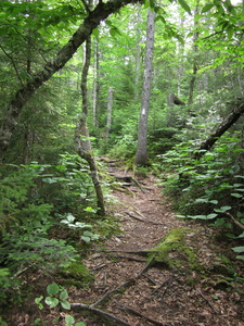 Appalachian Trail 