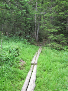 Appalachian Trail 