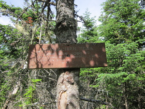 Appalachian Trail Lone Mountain