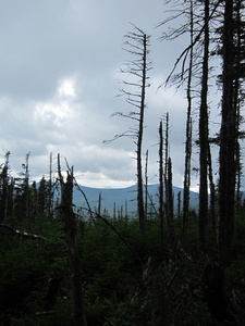 Appalachian Trail 