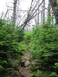 Appalachian Trail 