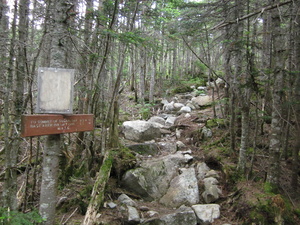 Appalachian Trail Trail to Sugerloaf Mountain