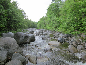 Appalachian Trail South Branch of the Carrabassett River