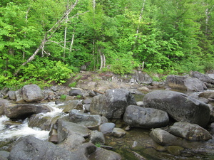 Appalachian Trail South Branch of the Carrabassett River