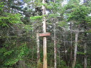 Appalachian Trail South Crocker Mountain viewpoint side trail