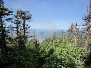 Appalachian Trail 