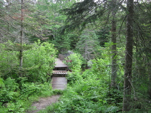 Appalachian Trail Bridge over Stratton Brook