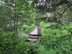 Appalachian Trail Bridge over Stratton Brook