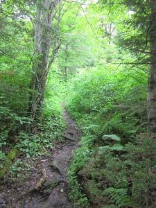 Appalachian Trail 