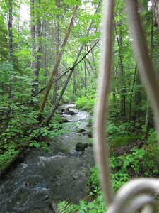 Appalachian Trail Camera strap