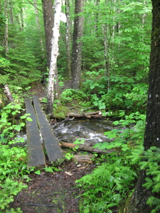 Appalachian Trail 