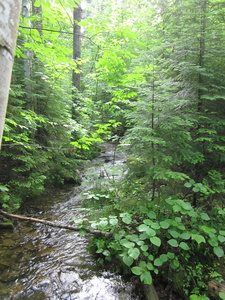 Appalachian Trail 