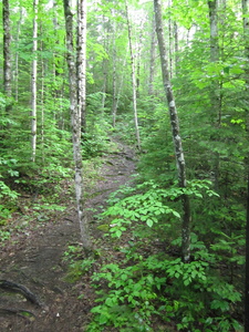 Appalachian Trail 