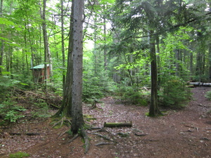 Appalachian Trail Outhouse at Cranberry Stream Campsite