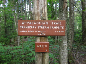 Appalachian Trail Cranberry Stream Campsite