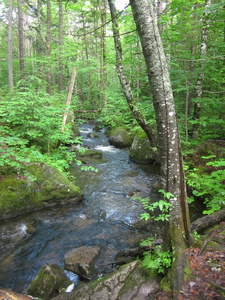 Appalachian Trail 