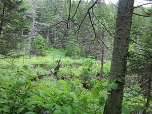 Appalachian Trail 