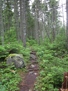 Appalachian Trail 