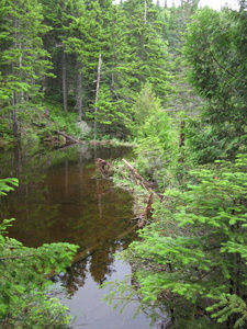 Appalachian Trail 