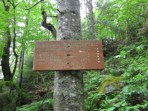 Appalachian Trail Bigelow Range Trail sign