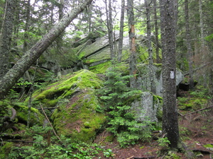 Appalachian Trail 