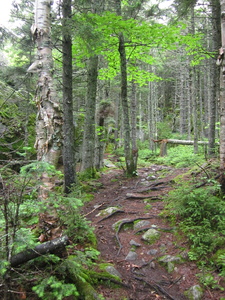 Appalachian Trail 