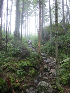 Appalachian Trail 