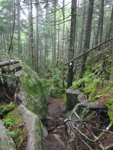 Appalachian Trail 