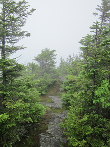 Appalachian Trail 