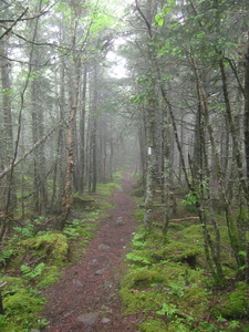 Appalachian Trail 