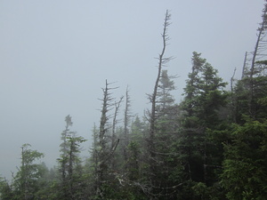 Appalachian Trail 