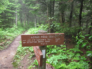 Appalachian Trail Horns Pond Trail sign