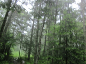 Appalachian Trail Out of focus