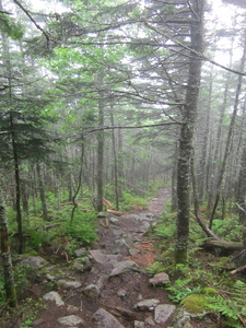 Appalachian Trail 