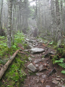 Appalachian Trail 