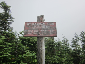 Appalachian Trail South Horn Mountain, 3831 feet