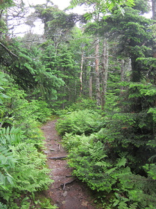 Appalachian Trail 