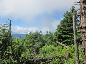 Appalachian Trail 