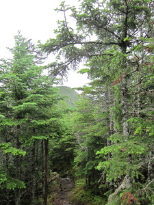 Appalachian Trail 