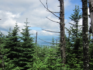 Appalachian Trail 