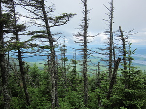 Appalachian Trail 