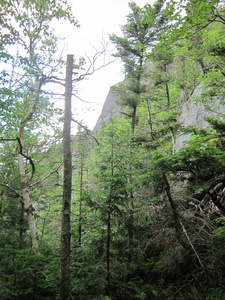 Appalachian Trail 