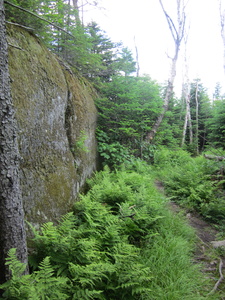 Appalachian Trail 