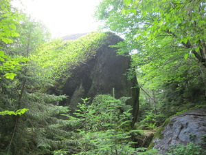 Appalachian Trail 