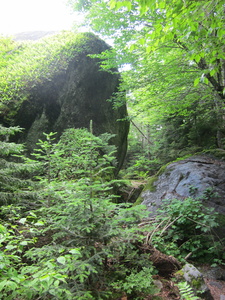 Appalachian Trail 