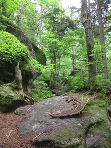 Appalachian Trail 