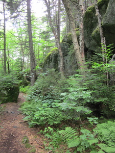 Appalachian Trail 