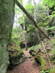 Appalachian Trail 