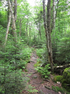 Appalachian Trail 